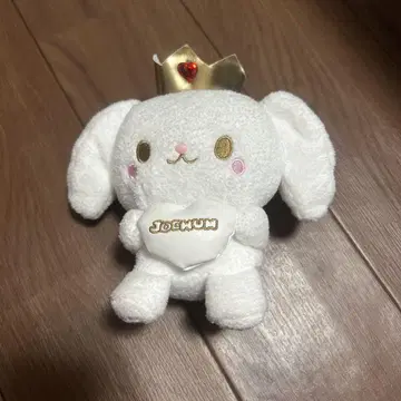 JO1 JOCHUM 시로이와 루키 RURU
