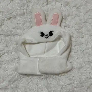 straykids skzoo 응원봉 커버 리노