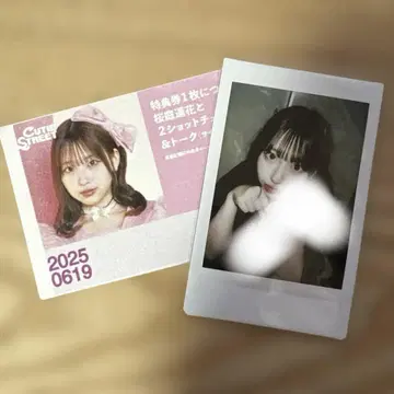사쿠라바 하루카 벚꽃 혜택회 폴라로이드