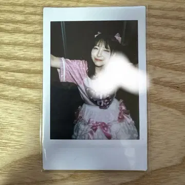 사쿠라바 하루카 혜택회 폴라로이드