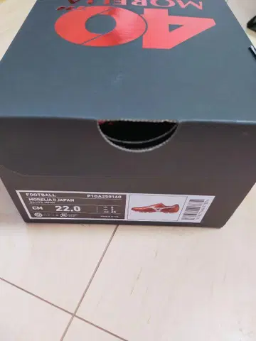 모렐리아 2 JAPAN 22cm 40주년