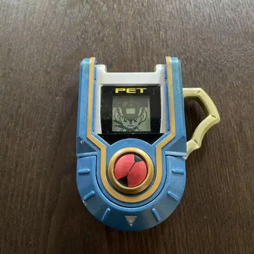 록맨 에그제 어드밴스드 PET ADVANCED