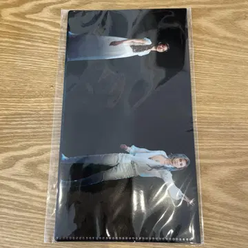엘리자벳 티켓 파일