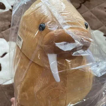 바다코끼리 봉제 인형