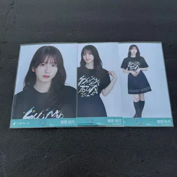 라이브 T셔츠 도쿄 진구 스가와라 사츠키 컴프