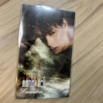란도린 리플렛 카드풍 플라이어 히라노 쇼