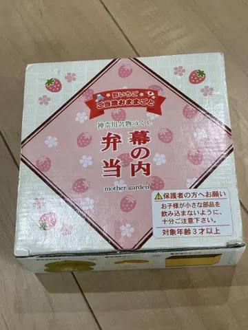 야생 딸기 소꿉놀이 가나가와현 명물 총집합 마쿠노우치 도시락