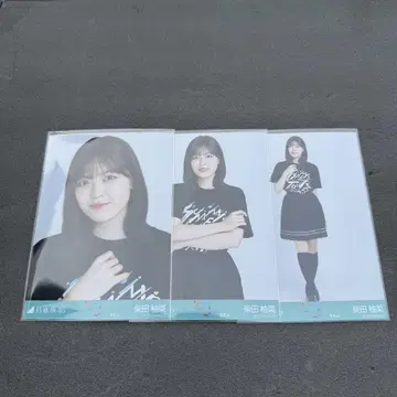 라이브 T셔츠 도쿄 진구 시바타 유나 컴프