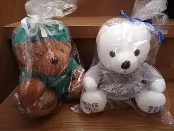 CNBLUE 곰돌이 봉제 인형 2개 세트