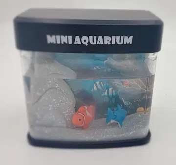 MINI AQUARIUM 미니 아쿠아리움