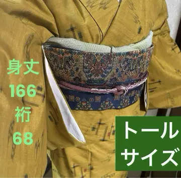 류큐 카스리 무늬 기모노 가벼운 외출에 기장 166 화장 68 순수 실크