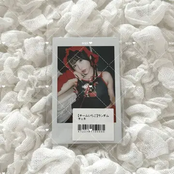팀 딸기 쿠리하라 마유 랜덤 폴라로이드