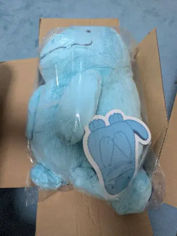 누오 봉긋 봉긋 포켓몬 센터 봉제 인형