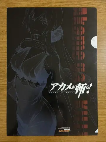 아카메가 벤다! 게이머즈 특전 클리어 파일