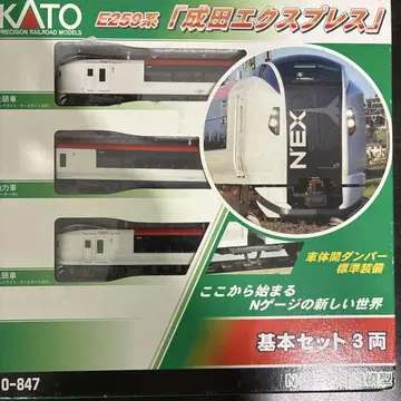 E259계 나리타 익스프레스 기본 세트 3량
