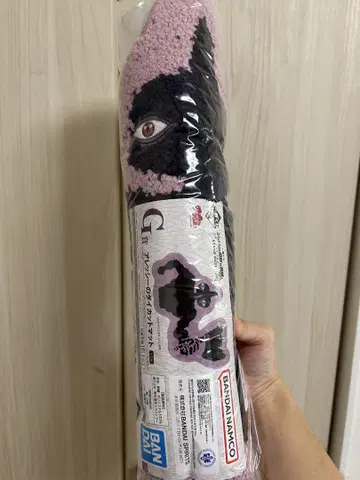 제일복권 죠죠의 기묘한 모험 G상 알레시 다이컷 매트