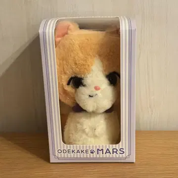 후지와라 이츠키 멘프로 외출 마스