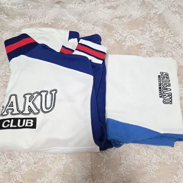 신 테니스의 왕자님