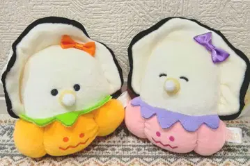 동글동글 눈망울의 생굴 호박 팬츠 모찌후와 전 2종 세트