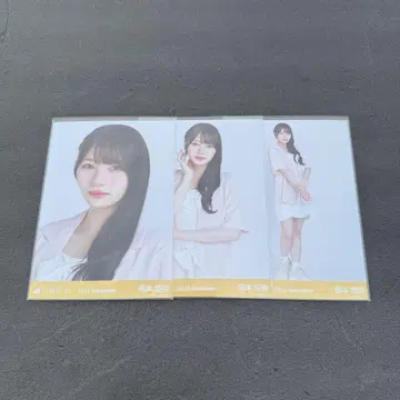 썸머 자켓 오카모토 히나 컴프