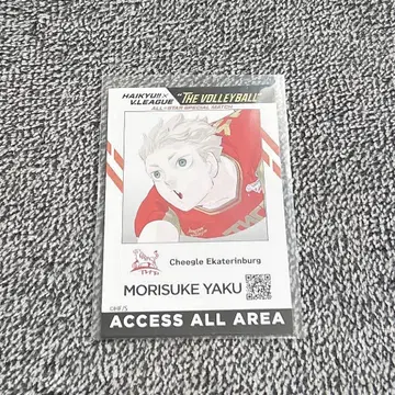 하이큐 야쿠 모리스케