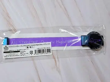 ASSDMS 마그넷 라이트 봉영이