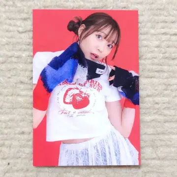 사이토 슈카 Rabbit Girl 라이브 회장 한정판 혜택 트레이딩 카드