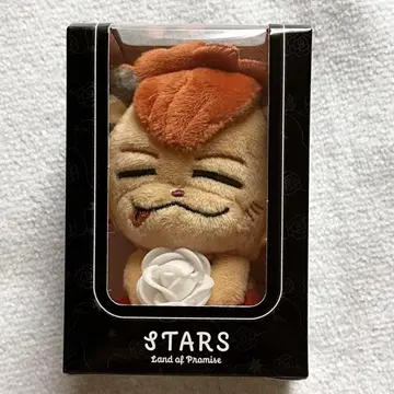 라이지 STARS 봉제 인형