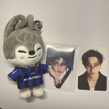 Stray Kids KARMA skzoover. 울프 찬