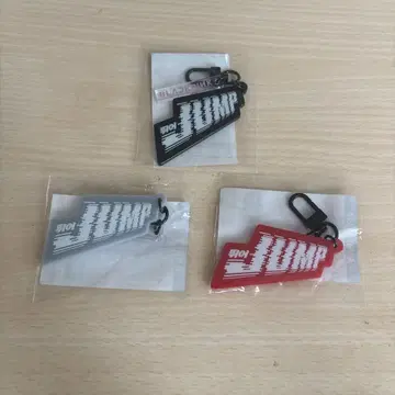 blackpink 키링