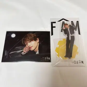 timelesz 이노마타 슈토 아크릴 스탠드 사진 세트