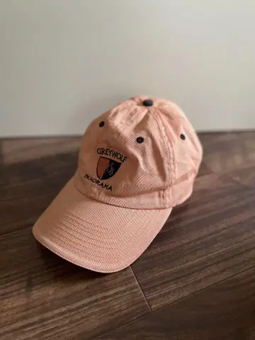 90s 빈티지 캡 vintage CAP 로고 캡 자수 캡