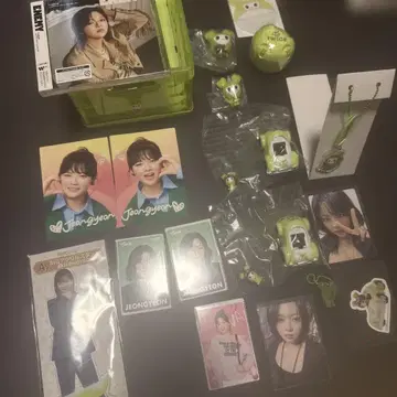 TWICE 정연 굿즈 enemy 모음