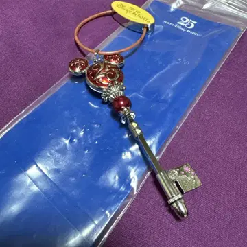 레드 드림 키 디즈니랜드 25주년 기념 굿즈