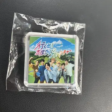시마 그린 어드벤처 키링