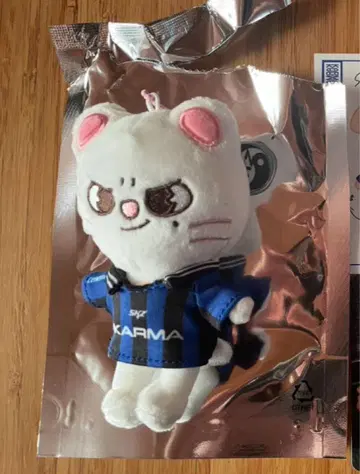 karma SKZOO 지니레트 현진