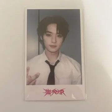 straykids 스키즈  hmv 폴라로이드 폴라 트레이딩 카드 리노