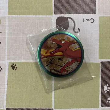 Pokemon EX Drawing Yusuke Murata 리자몽