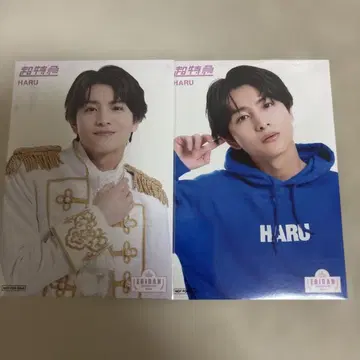 하루 EBiDAN museum 입장 혜택