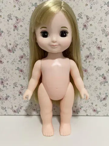 레민&소란 코르네짱 본체