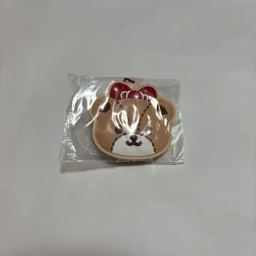 타이니 참