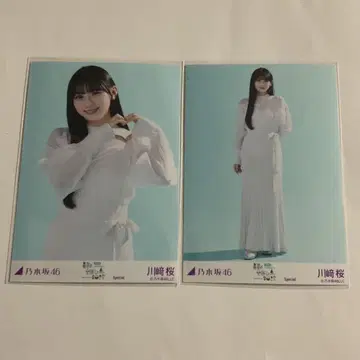 노기자카46 카와사키 사쿠라 츄히키