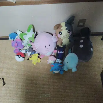포켓몬 봉제 인형 세트