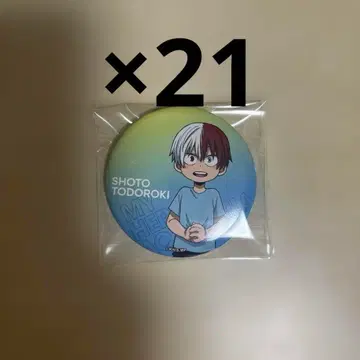 토도로키 쇼토 유년기 캔뱃지