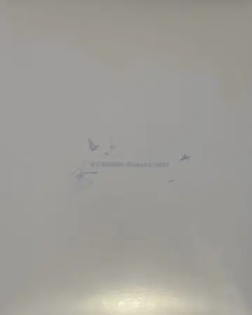 아노짱 저주를 걸어, 환상을 풀어 무도관 팜플렛 새상품 굿즈 ano