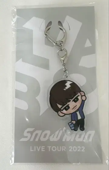 Snow Man LIVE TOUR 2022 스노치루 키링 와타나베 쇼타