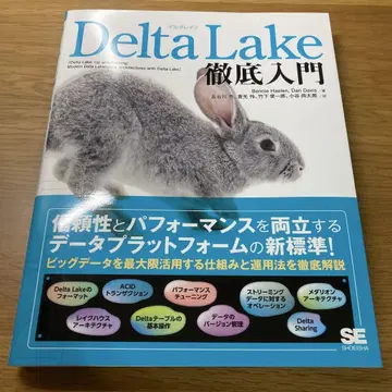 Delta Lake 철저 입문