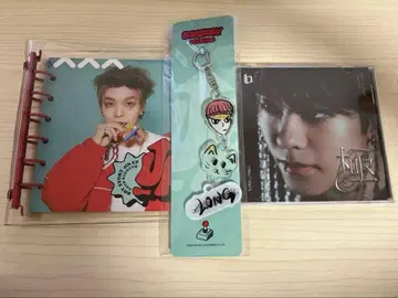 boystory CD 신롱 호신롱 ()