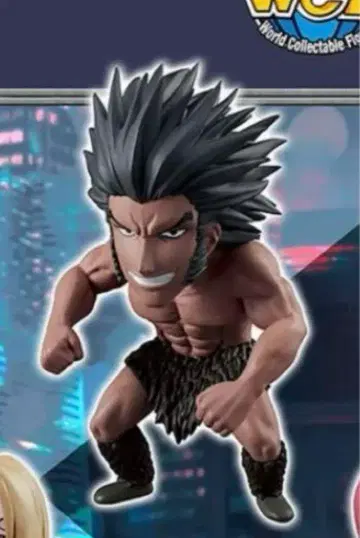 HUNTER x HUNTER 월드 컬렉터블 피규어 우보긴