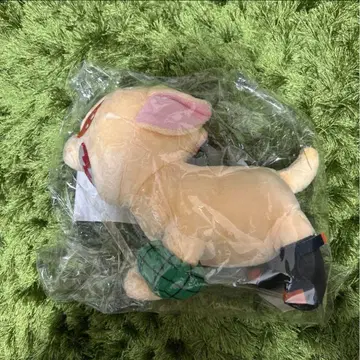나의 히어로 아카데미아 바쿠도그 바쿠고 카츠키 봉제 인형